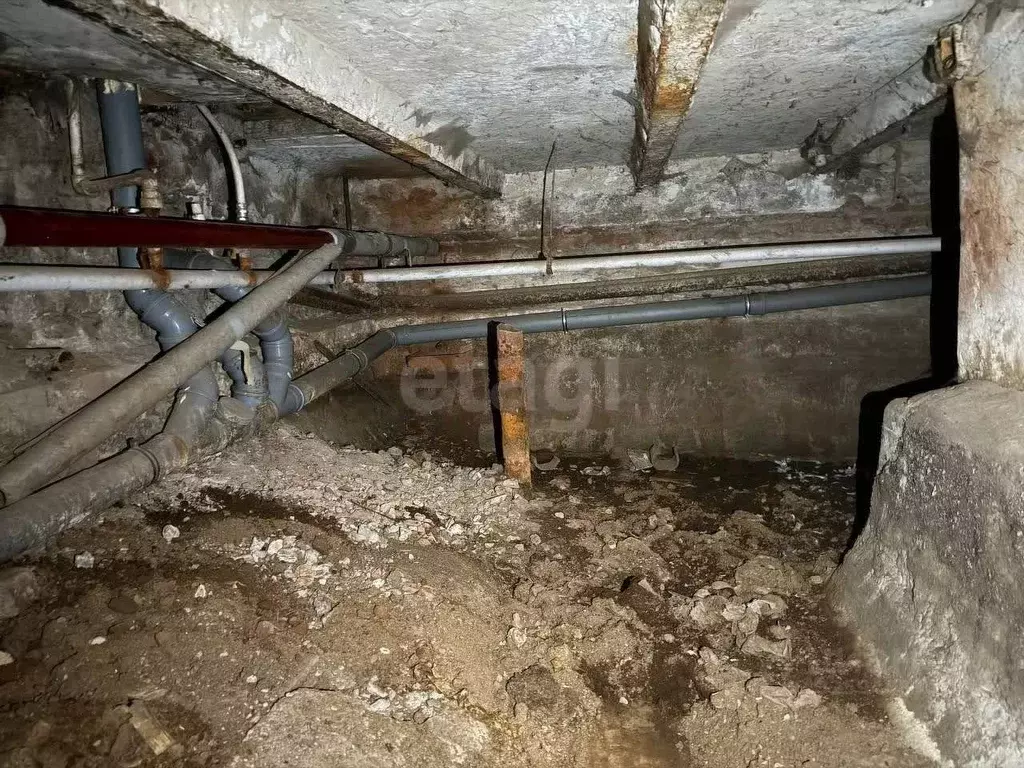 Помещение свободного назначения в Санкт-Петербург Старо-Петергофский ... - Фото 0