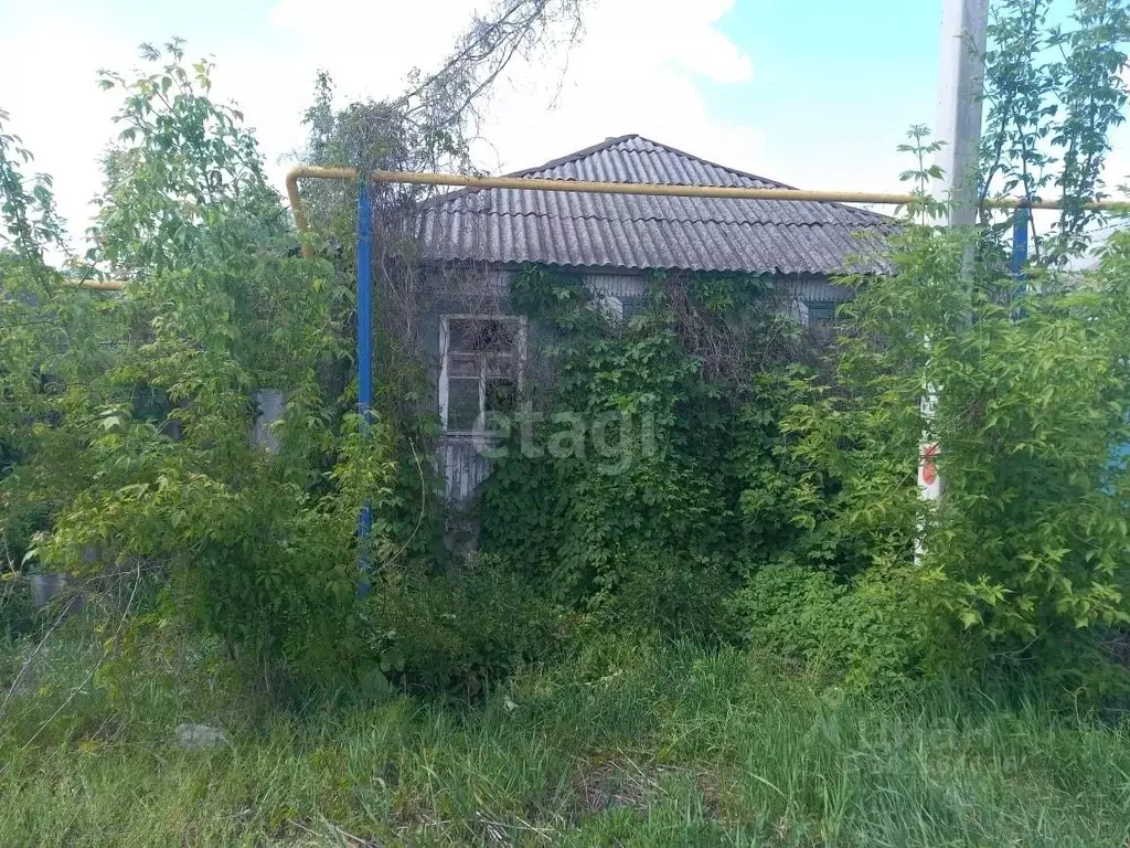 Дом в Белгородская область, Волоконовка рп  (44 м) - Фото 1