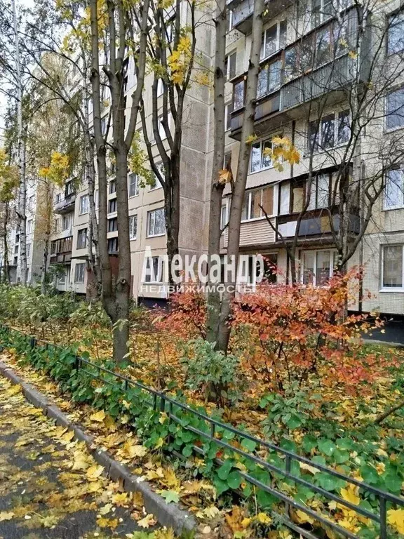 1-к кв. Санкт-Петербург Искровский просп., 35/38 (31.5 м) - Фото 2