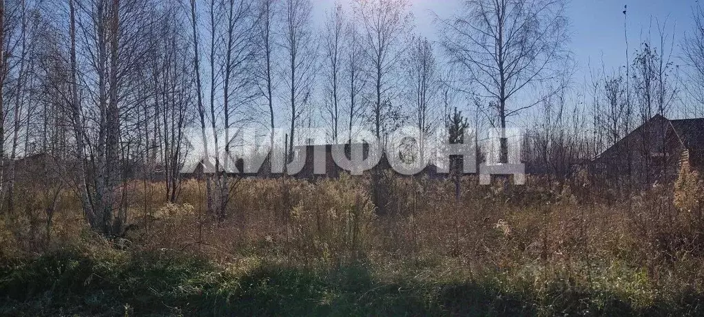 Участок в Новосибирская область, Новосибирск Пашино мкр, ул. ... - Фото 0