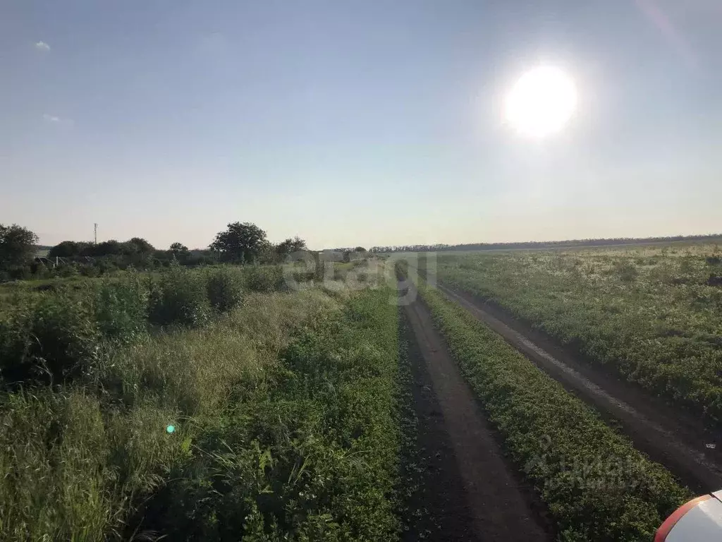 Участок в Ставропольский край, Предгорный муниципальный округ, с. ... - Фото 1