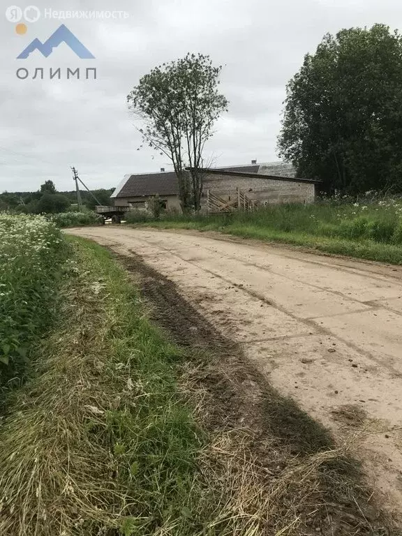 Участок в Вологодский муниципальный округ, деревня Яминово (46700 м) - Фото 1