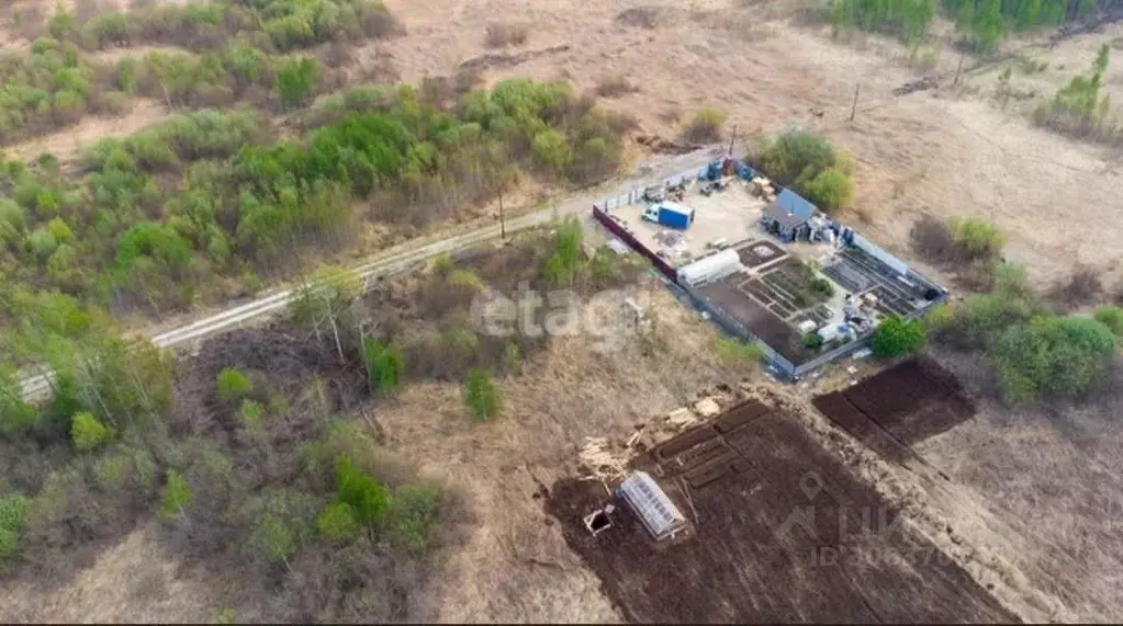 Участок в Тюменская область, Нижнетавдинский район, Душевное садовое ... - Фото 1