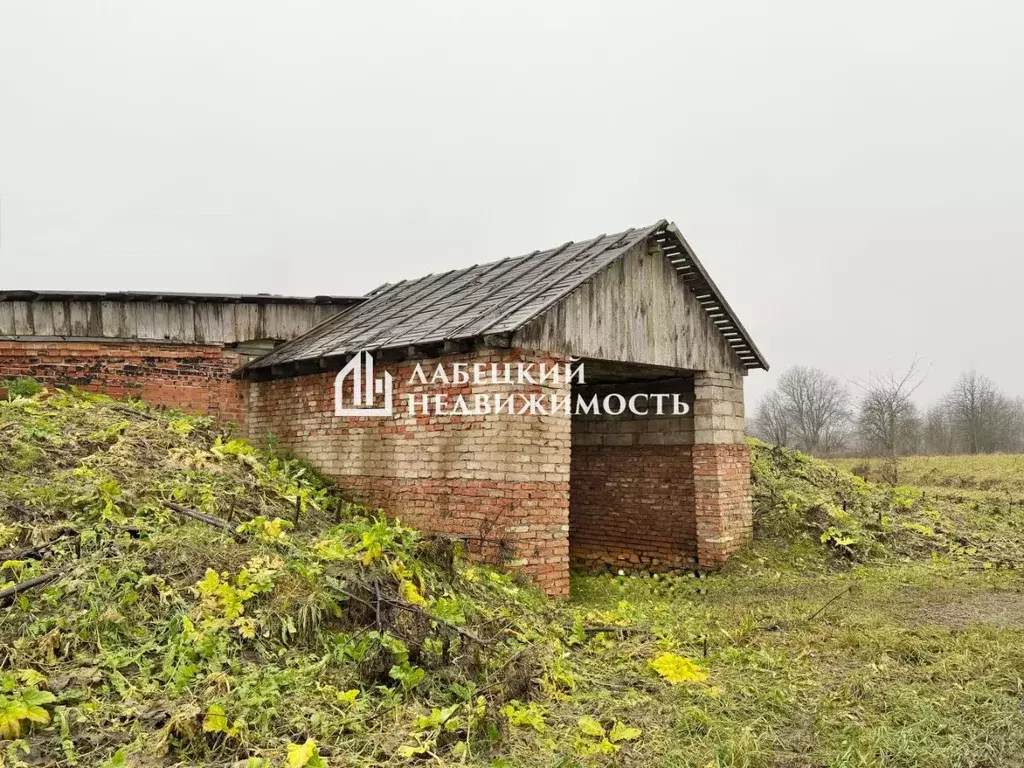 Помещение свободного назначения в Ленинградская область, Волосовский ... - Фото 1