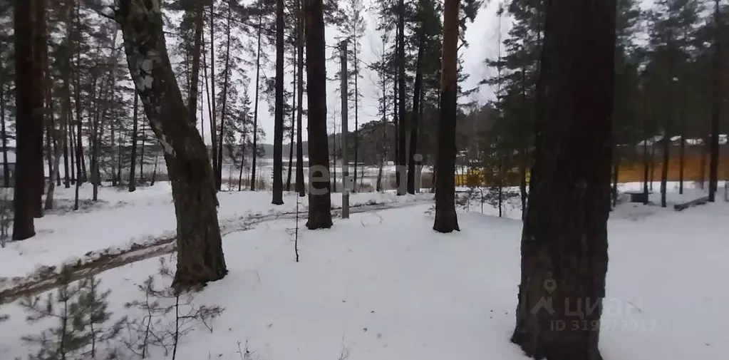 Участок в Нижегородская область, Навашинский муниципальный округ, с. ... - Фото 1