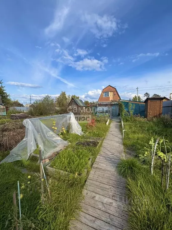 Дом в Новосибирская область, Новосибирск Строитель СНТ, ул. 8-я (32 м) - Фото 0