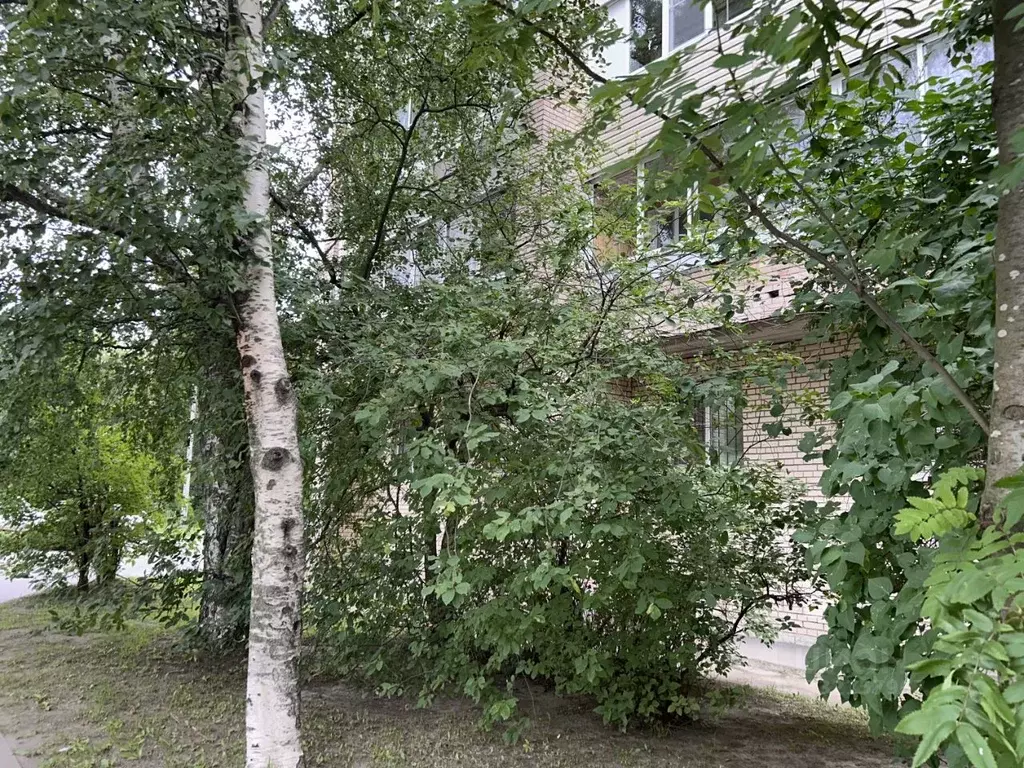 1-к кв. Санкт-Петербург просп. Культуры, 27 (31.0 м) - Фото 2