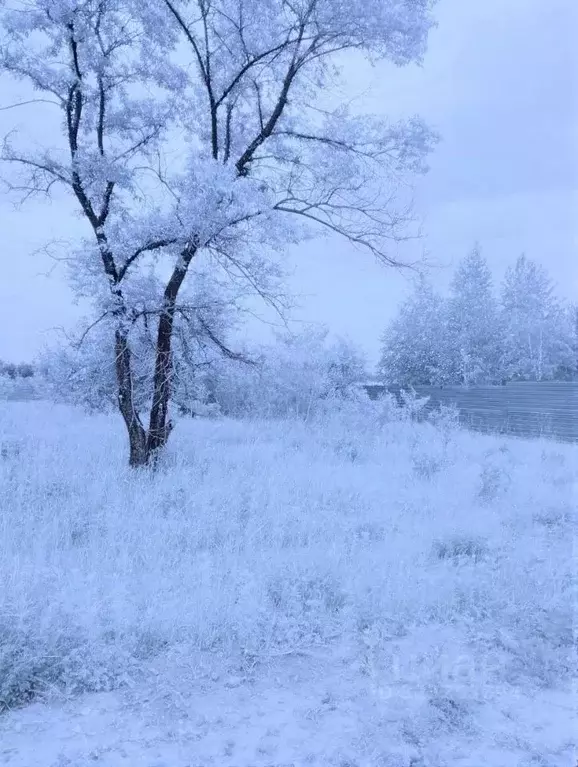 Участок в Амурская область, Серышевский муниципальный округ, с. ... - Фото 2