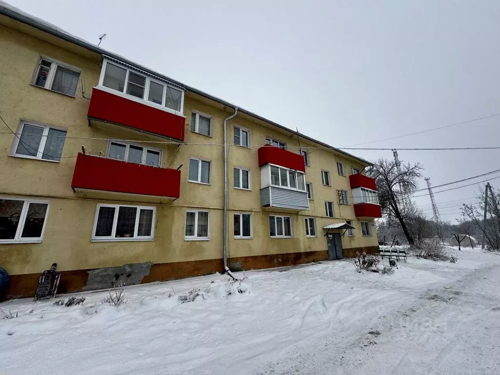 1-к кв. Нижегородская область, Нижний Новгород с. Шава, ул. Новая, 7 ... - Фото 1