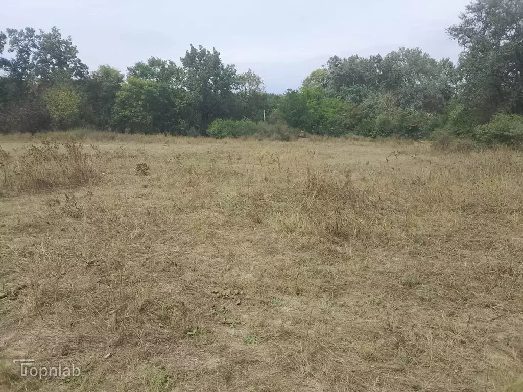 Участок в Кабардино-Балкария, Майский ул. Гагарина (16.0 сот.) - Фото 1