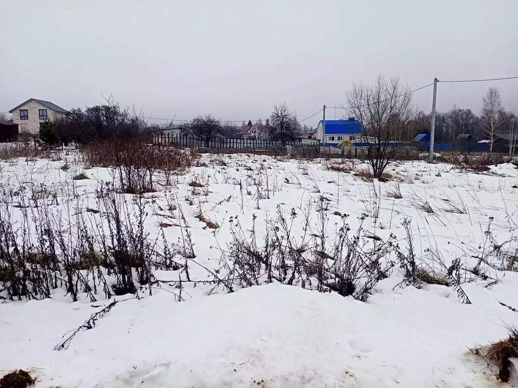 Участок в Нижегородская область, Арзамас городской округ, с. ... - Фото 1