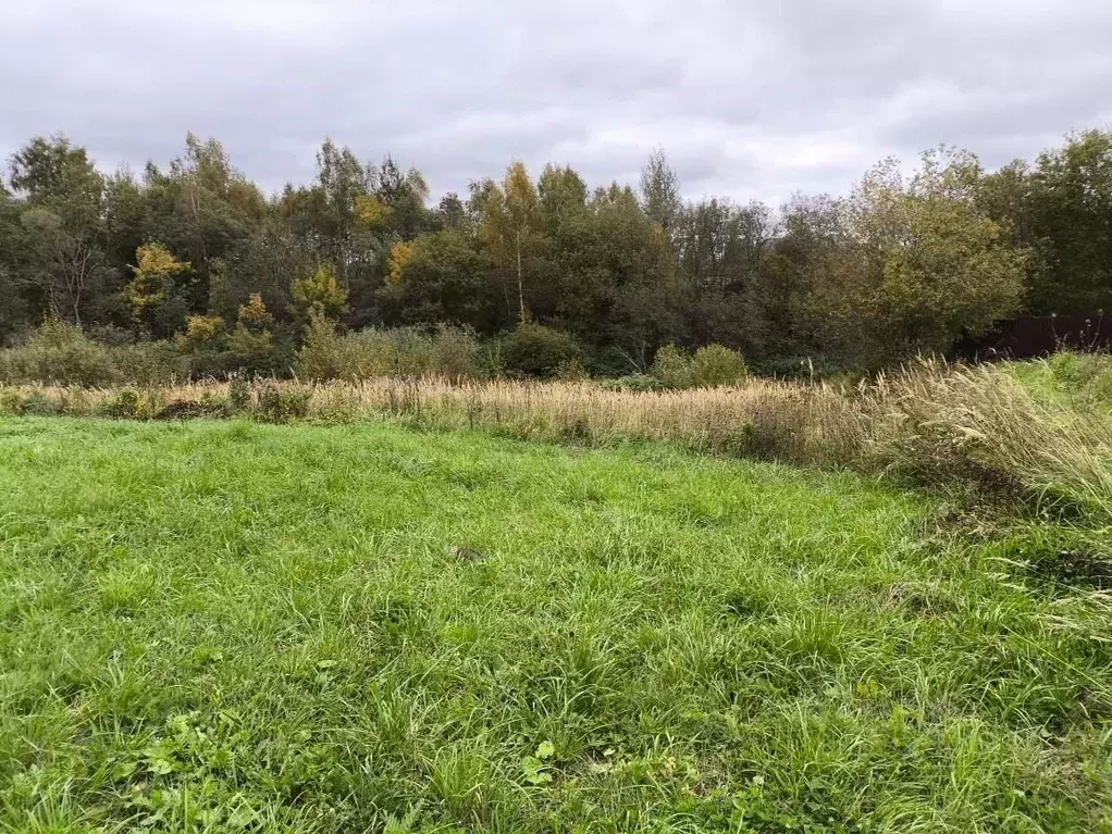 Участок в Московская область, Клин городской округ, д. Косово  (9.84 ... - Фото 2