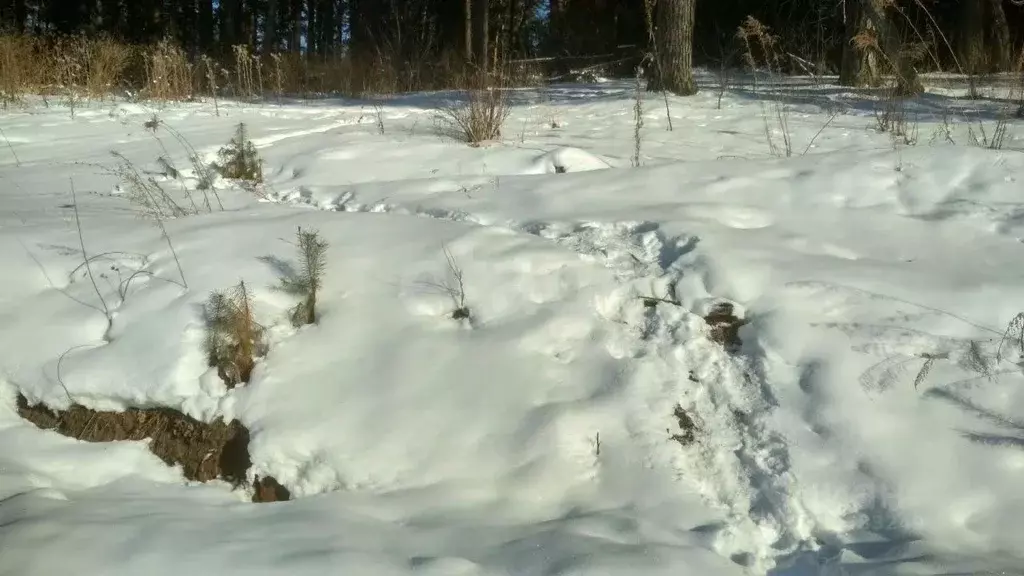 Участок в Алтай, Майминский район, с. Манжерок  (10.0 сот.) - Фото 1