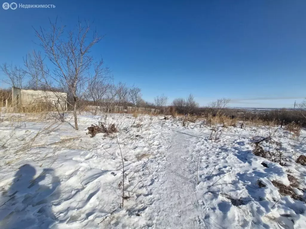 Участок в Амурская область, Благовещенск (7 м) - Фото 1