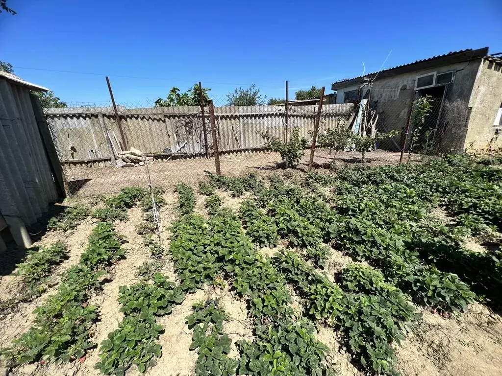Дом в Краснодарский край, Темрюкский район, Ахтанизовская ст-ца ... - Фото 1