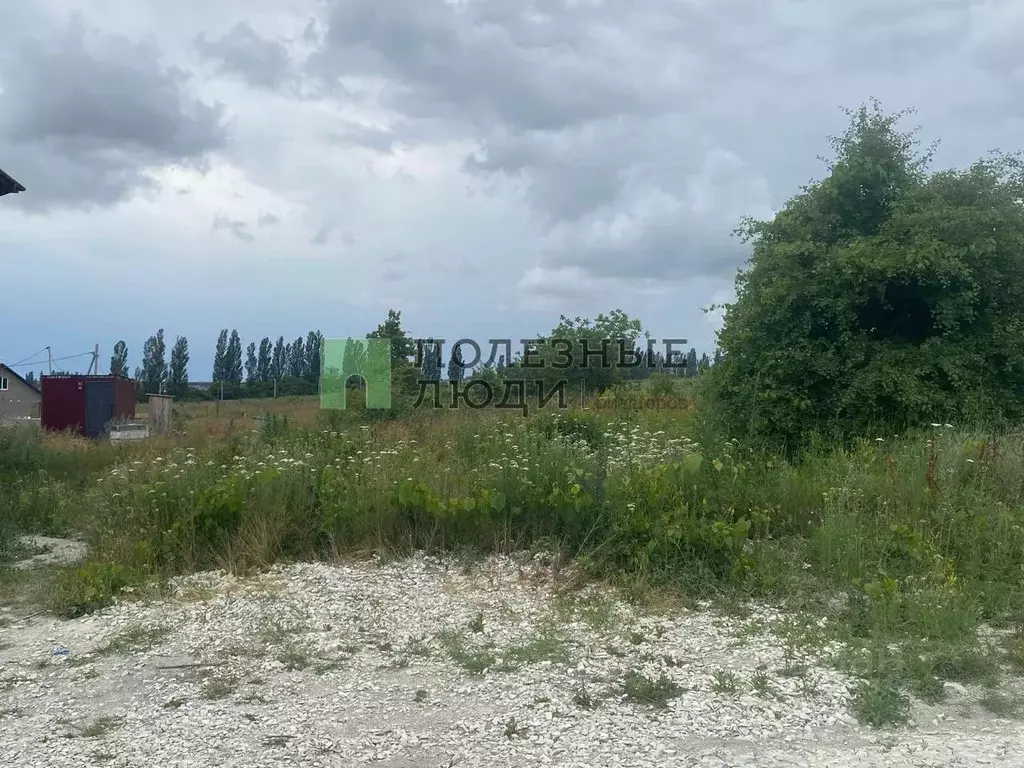 Участок в Краснодарский край, Новороссийск городской округ, ... - Фото 1