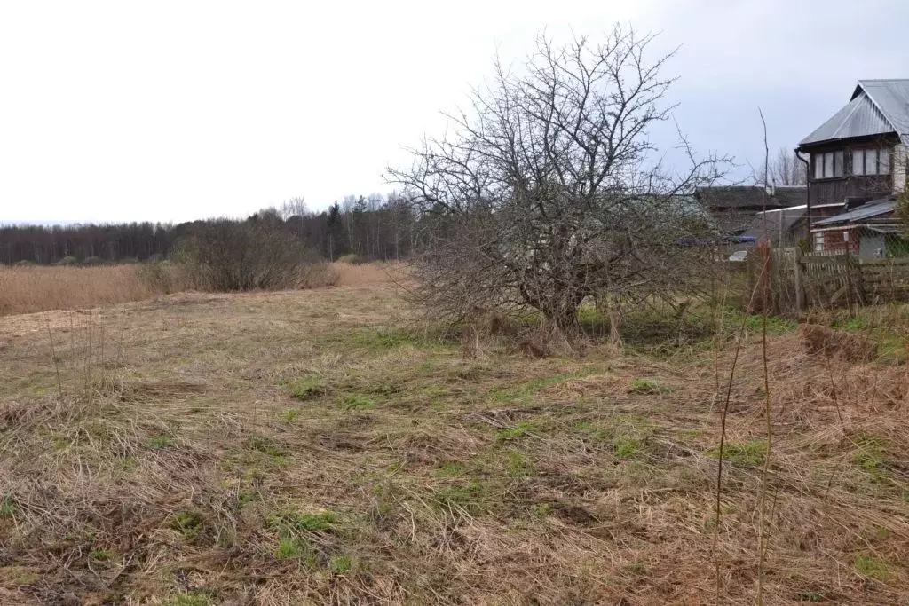 Участок в Тверская область, Осташковский муниципальный округ, д. ... - Фото 2