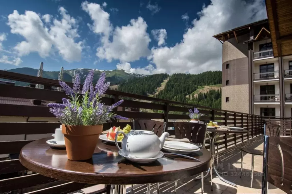 Студия Карачаево-Черкесия, Зеленчукский район, с. Архыз, пос. Романтик ... - Фото 1