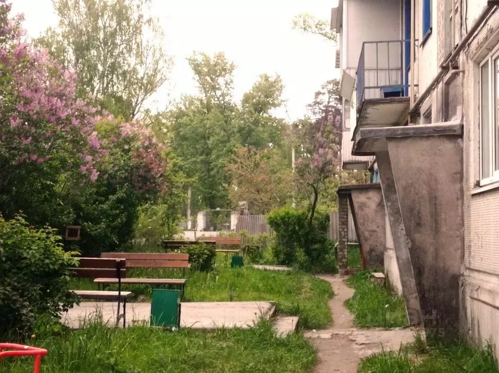 2-к кв. Брянская область, Фокино Базарная ул., 16А (41.6 м) - Фото 1