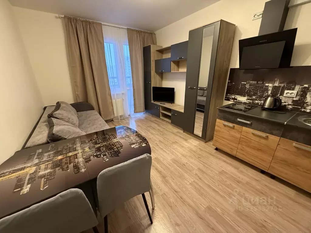 Студия Санкт-Петербург наб. Реки Каменки, 23 (19.5 м) - Фото 2