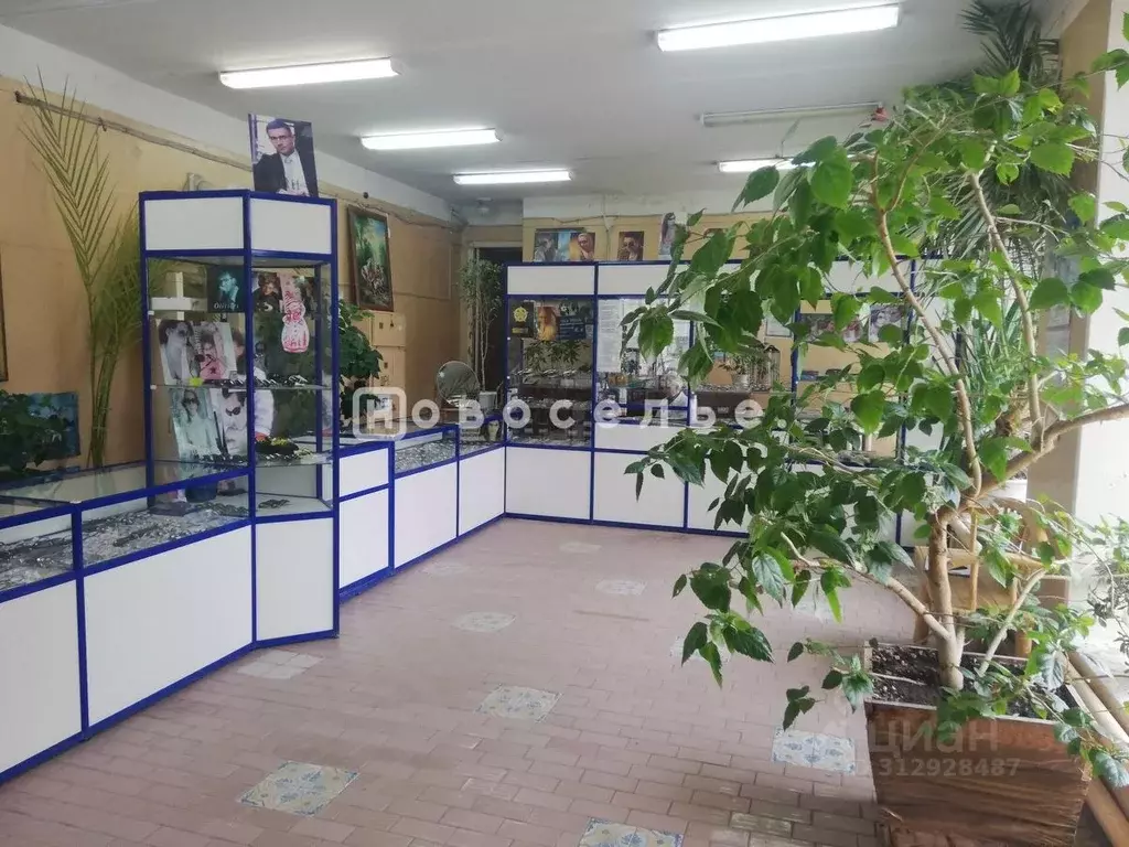 Помещение свободного назначения в Рязанская область, Рязань Трудовая ... - Фото 2