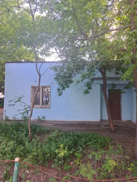 Помещение свободного назначения в Саратовская область, Саратов ул. ... - Фото 0