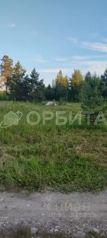 Участок в Тюменская область, Нижнетавдинский район, пос. Торгили ... - Фото 0