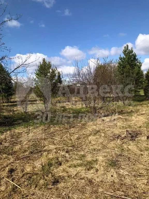 Участок в Свердловская область, Слободо-Туринский район, ... - Фото 2