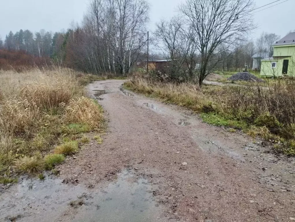 Участок в Ленинградская область, Выборгский район, Советское городское ... - Фото 1