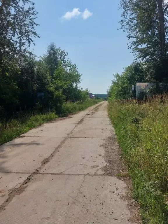 Участок в Нижегородская область, Богородский муниципальный округ, с. ... - Фото 0