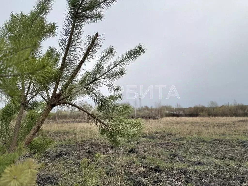 Участок в Тюменская область, Тюменский район, д. Решетникова  (40.0 ... - Фото 1