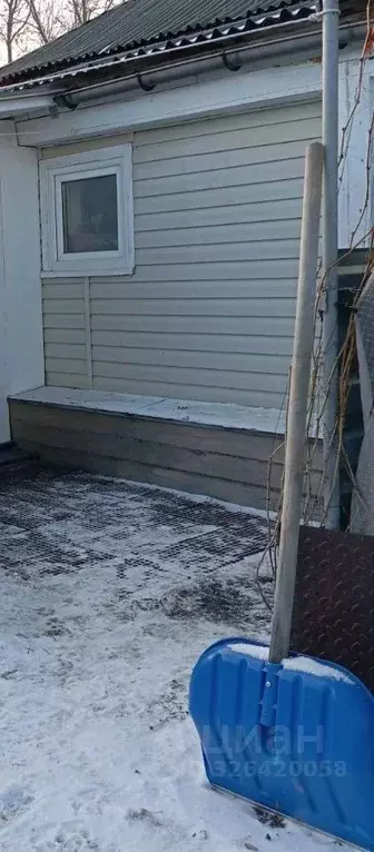 Дом в Омская область, Омск Новоалександровская ул. (60 м) - Фото 1