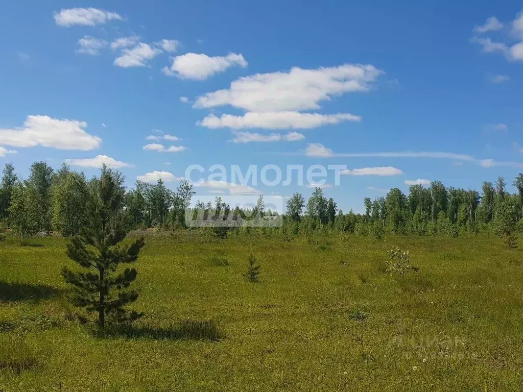 Участок в Челябинская область, Сосновский муниципальный округ, д. ... - Фото 1
