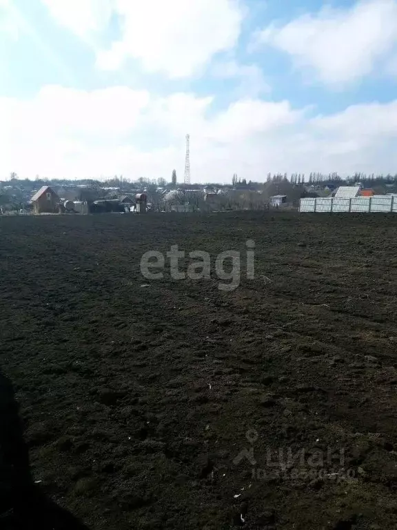 Участок в Белгородская область, Шебекинский муниципальный округ, с. ... - Фото 0