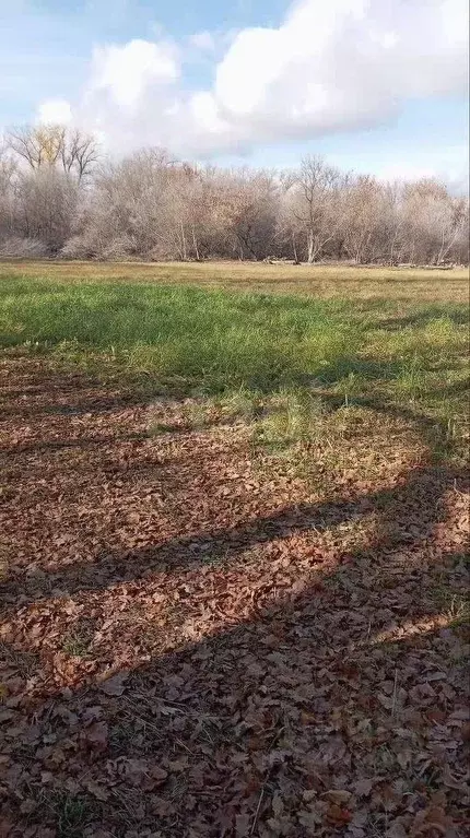 Участок в Воронежская область, Новоусманский район, с. Хреновое ул. ... - Фото 1