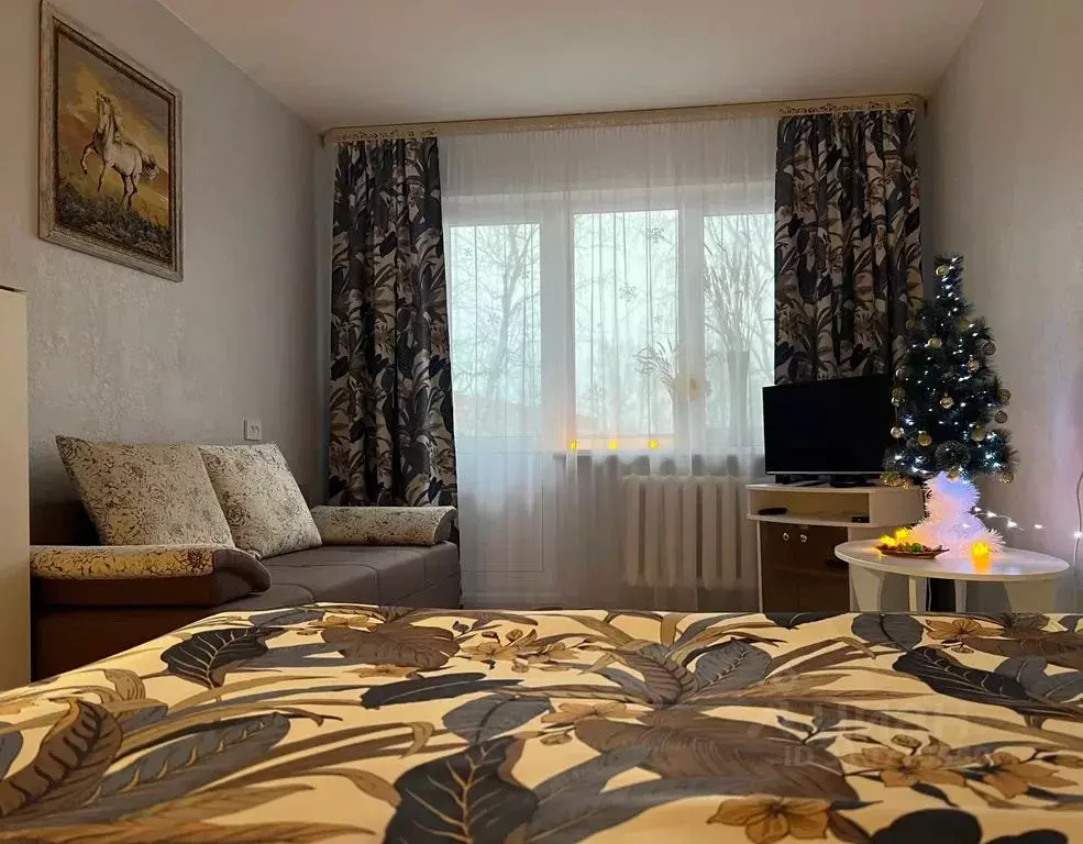 1-к кв. Псковская область, Псков Ротная ул., 33 (32.0 м) - Фото 1