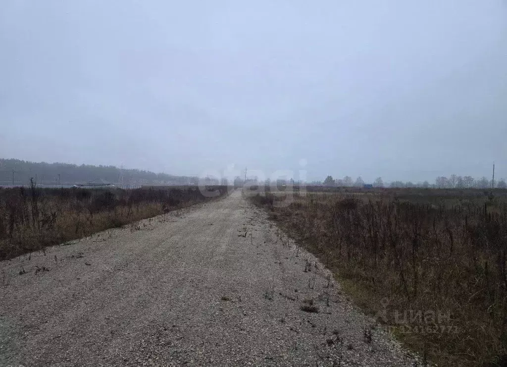 Участок в Брянская область, Брянский район, Новодарковичское с/пос, д. ... - Фото 1