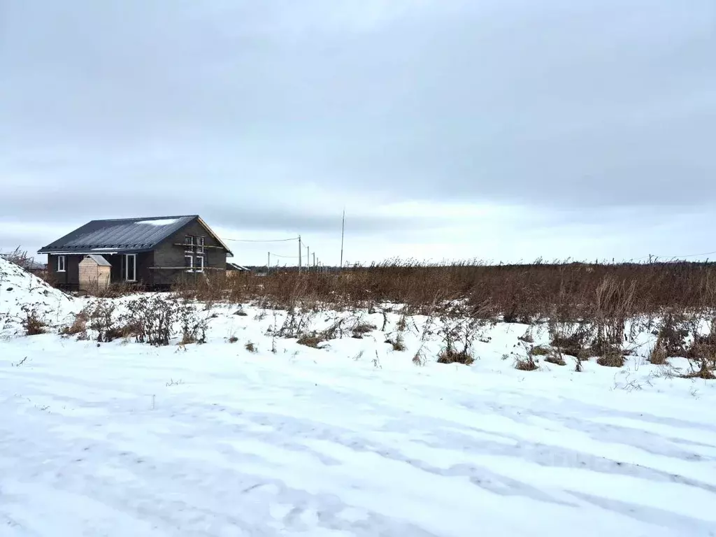 Участок в Омская область, Омский район муниципальный округ, Пушкинское ... - Фото 1