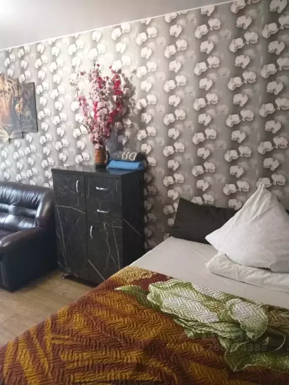 1-к кв. Новгородская область, Боровичи Пушкинская ул., 74 (30.0 м) - Фото 1