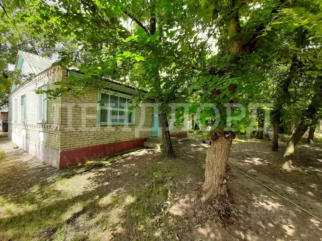 Торговая площадь в Ростовская область, Багаевское с/пос, пос. ... - Фото 2