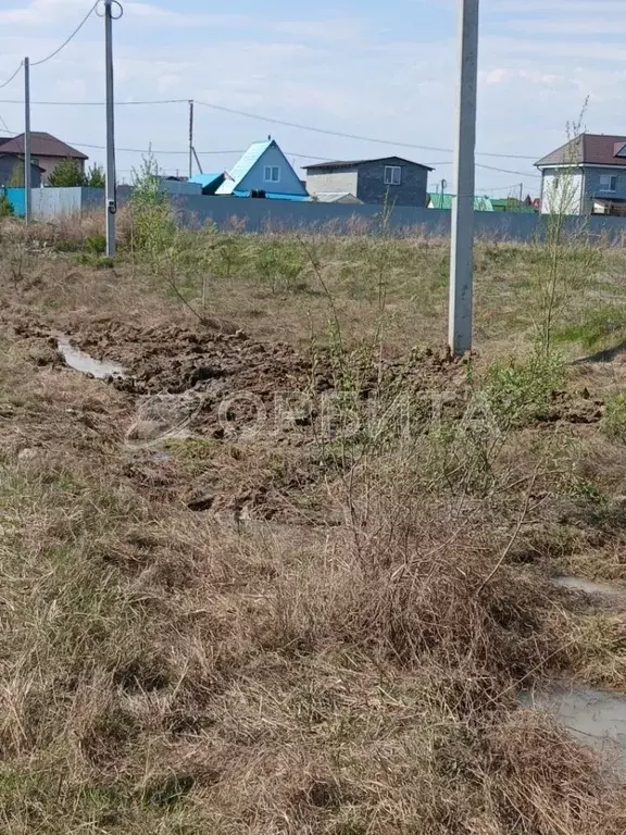 Участок в Тюменская область, Тюмень Яровское СНТ, ул. Сливовая, 19 ... - Фото 1
