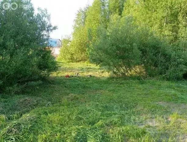 Участок в Томский район, деревня Новомихайловка, ДНП Кедры, ... - Фото 2