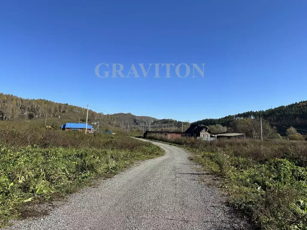 Участок в Алтайский край, Алтайский район, с. Нижнекаянча ул. ... - Фото 2