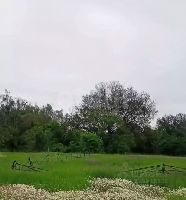 Участок в Волгоградская область, Среднеахтубинский район, Фрунзенское ... - Фото 1