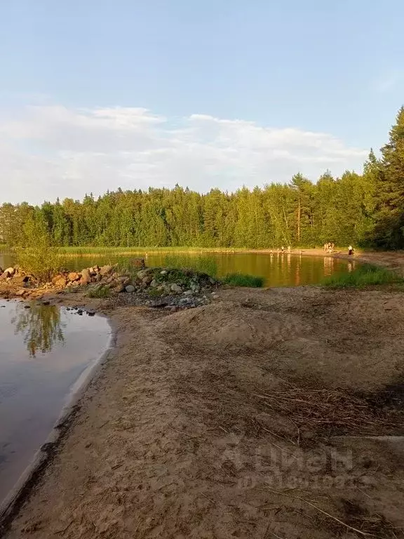 Дом в Карелия, Прионежский район, Деревянское с/пос, Маяк СНТ  (100 м) - Фото 1