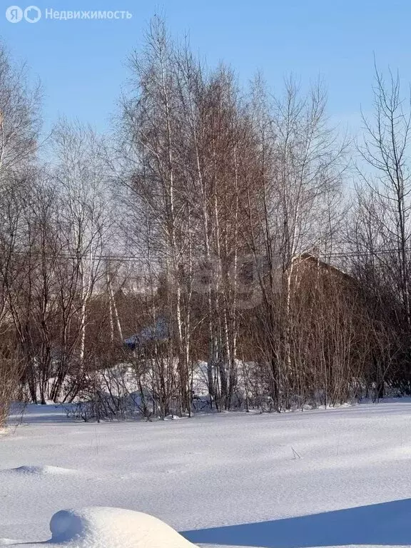 Участок в Тюмень, садовое товарищество Поле Чудес-2, Ягодная улица ... - Фото 2