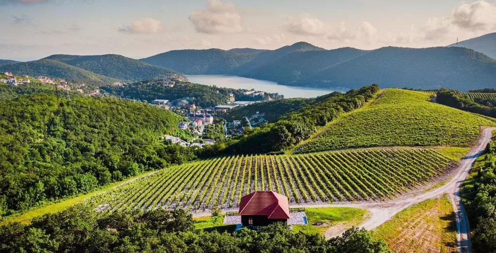 Коттедж в Краснодарский край, Новороссийск городской округ, с. ... - Фото 2