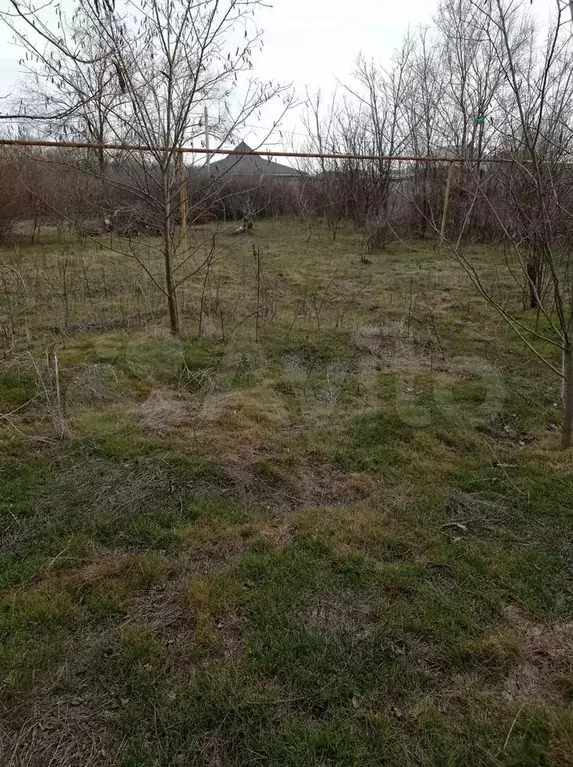 Участок 8 сот. (ИЖС) - Фото 1