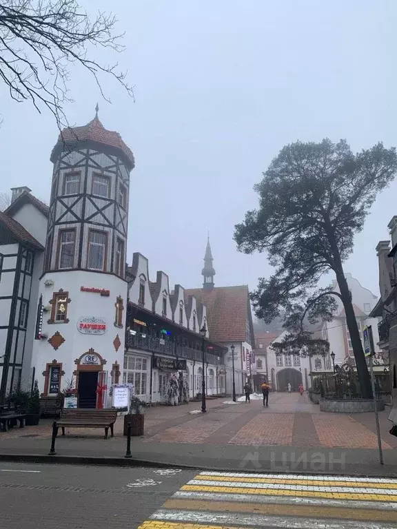 2-к кв. Калининградская область, Светлогорск ул. Ленина, 15 (75.6 м) - Фото 1