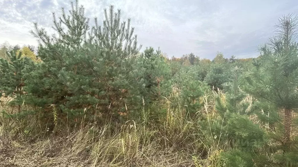 Участок в Московская область, Ступино пер. 2-й Знаменский (10.0 сот.) - Фото 2